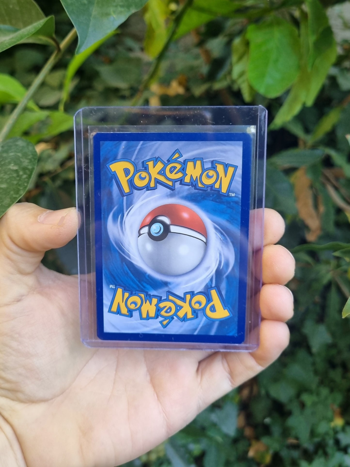 Charizard V - SWSH260 Sword & Shield Promo