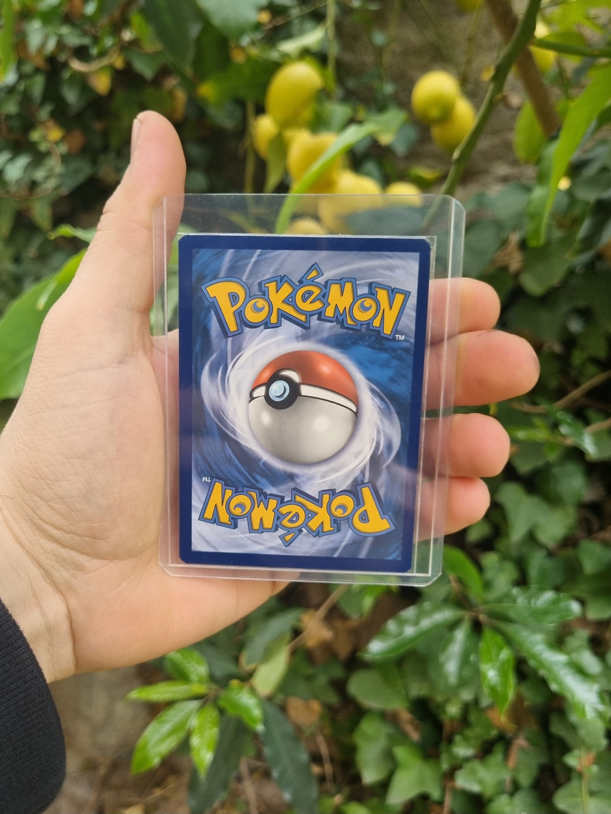 Charizard VSTAR - SWSH262 Sword & Shield Promo