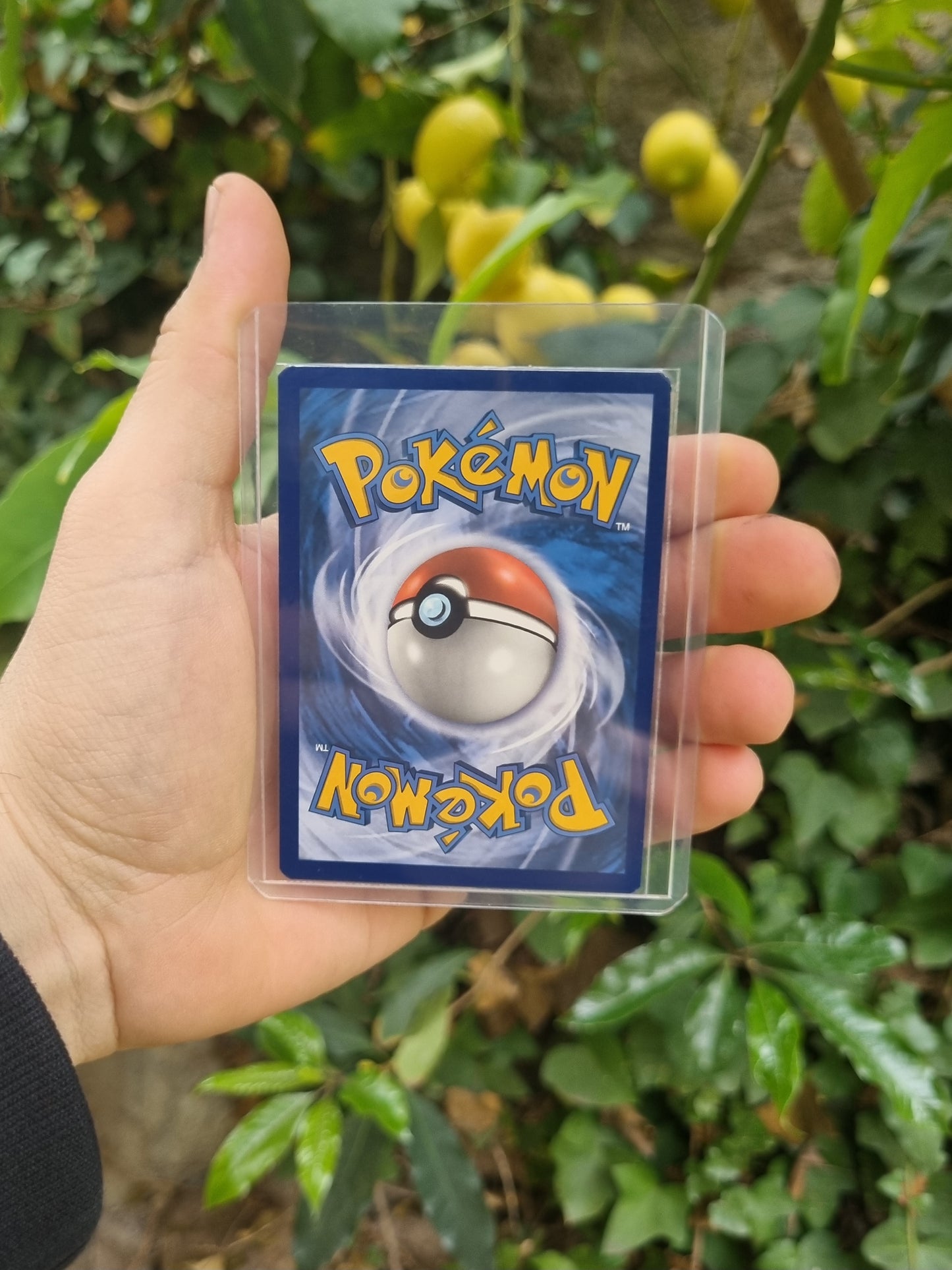 Charizard VSTAR - SWSH262 Sword & Shield Promo Inglés