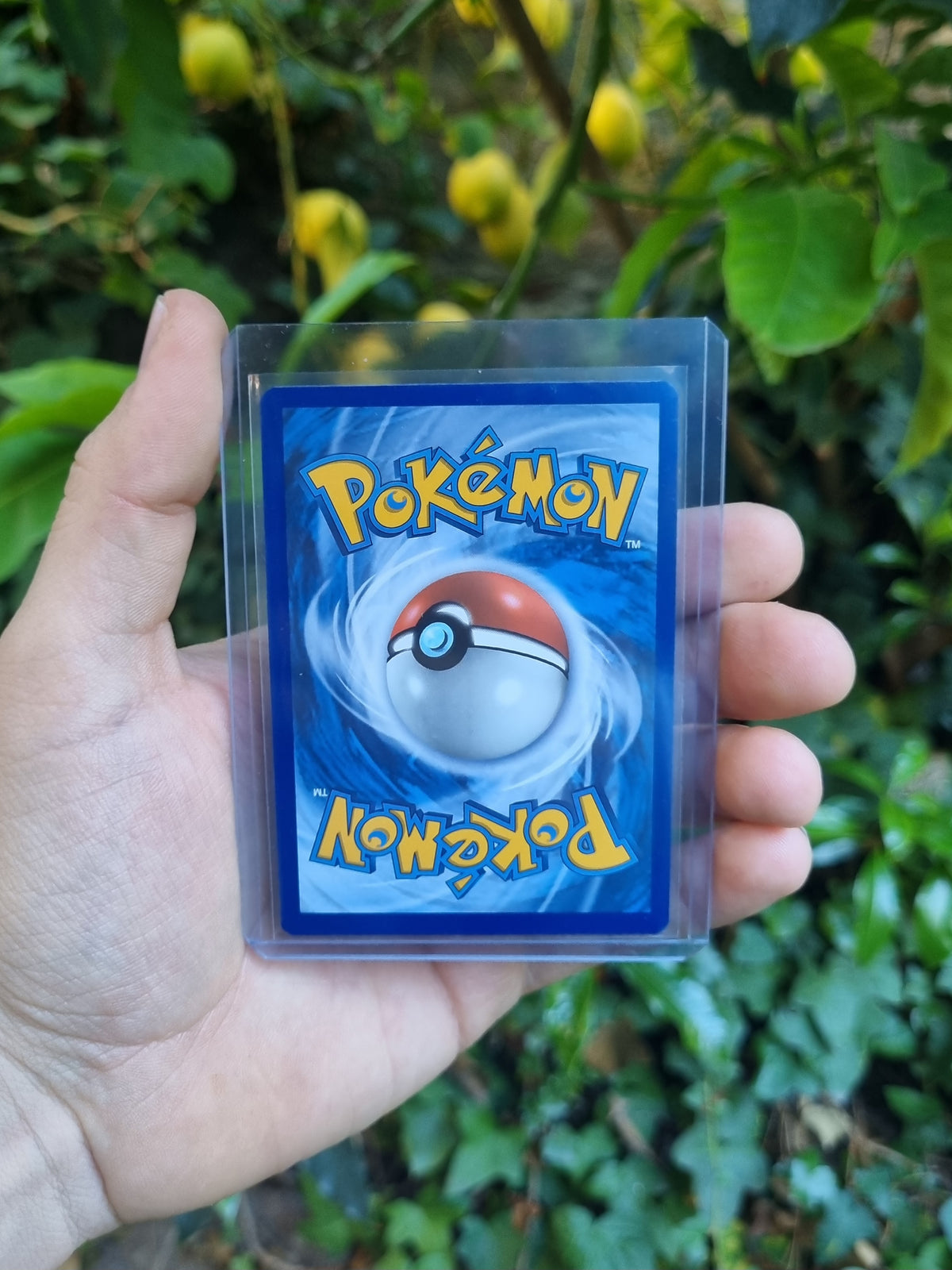 Charizard VMAX - SWSH261 Sword & Shield Promo