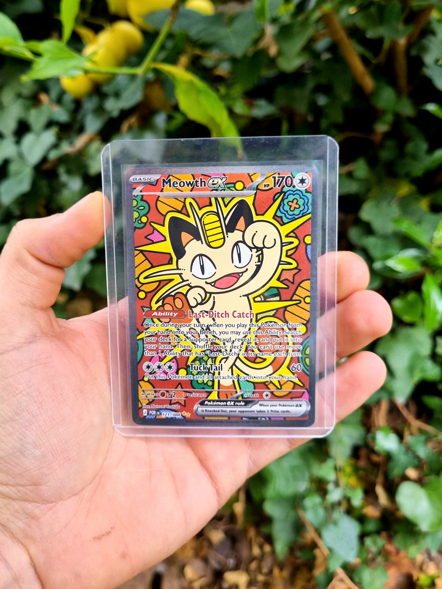 Meowth ex - 121/088 Perfect Order Special Illustration Rare