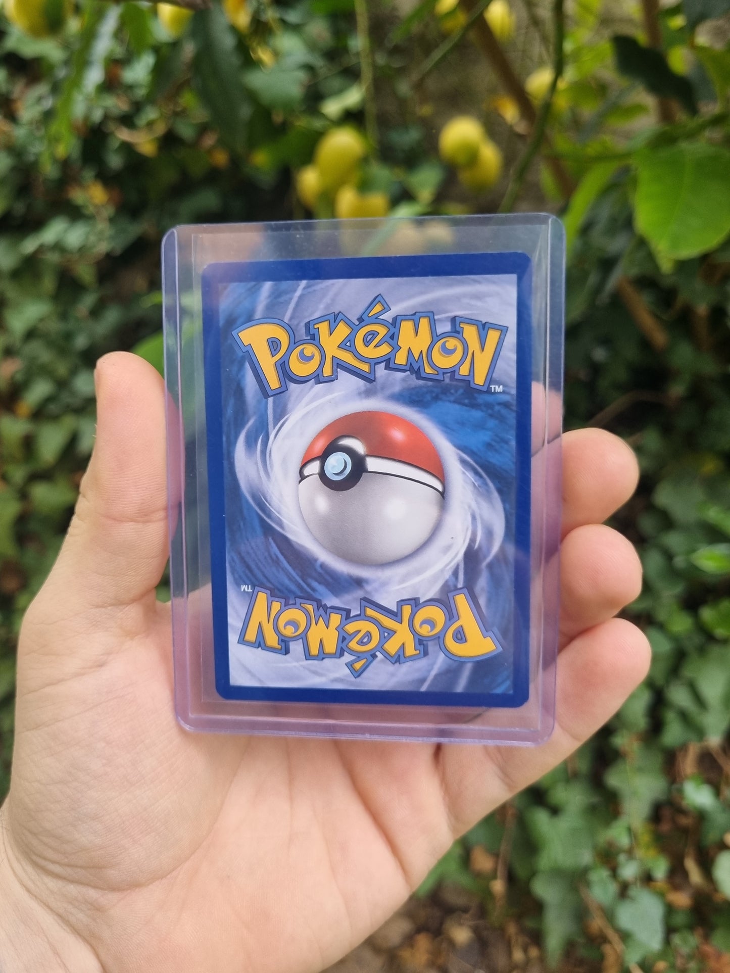 Charizard V - SWSH260 Sword & Shield Promo