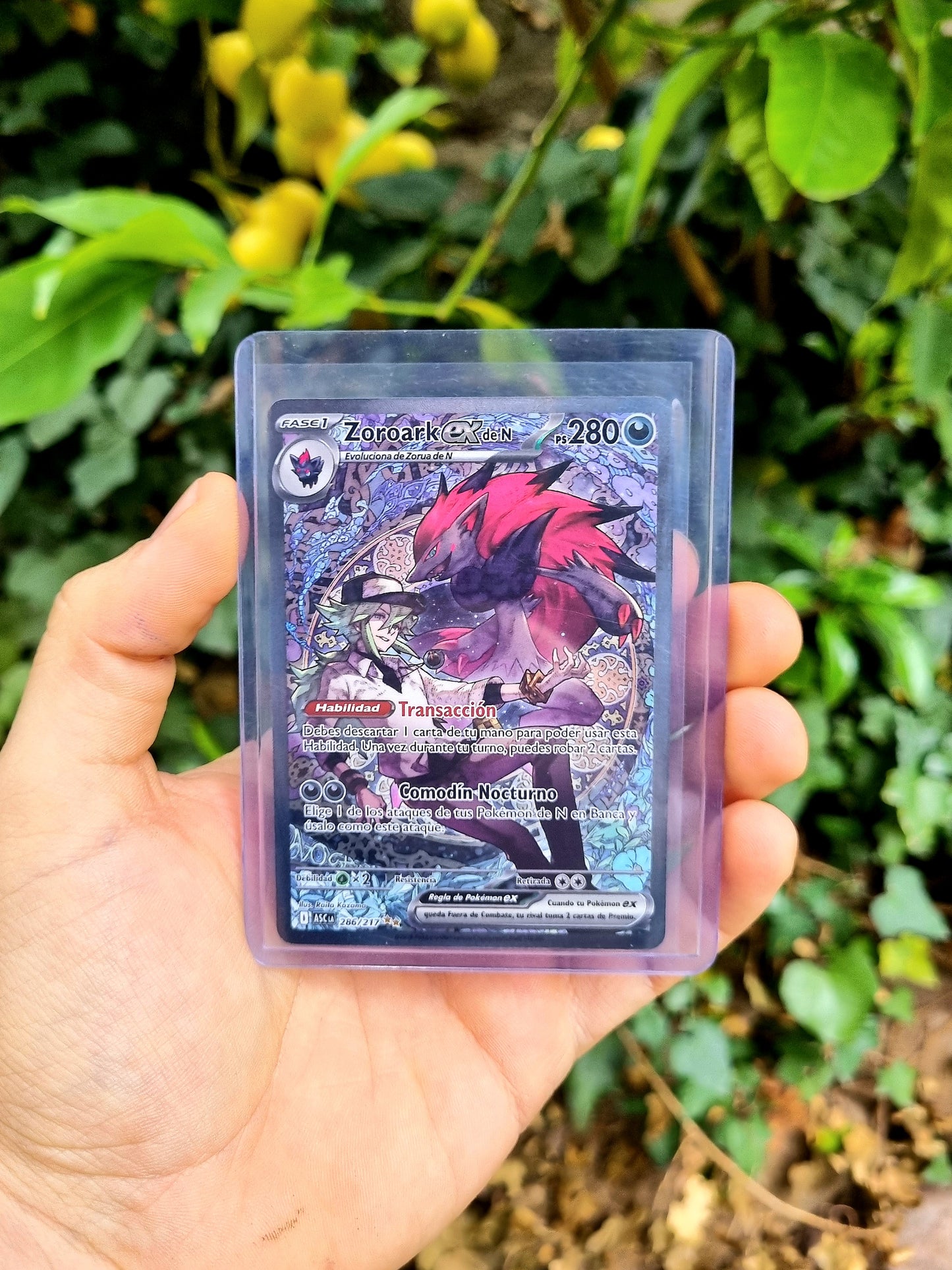 N's Zoroark ex - 286/217 Ascended Heroes Special Illustration Rare Español