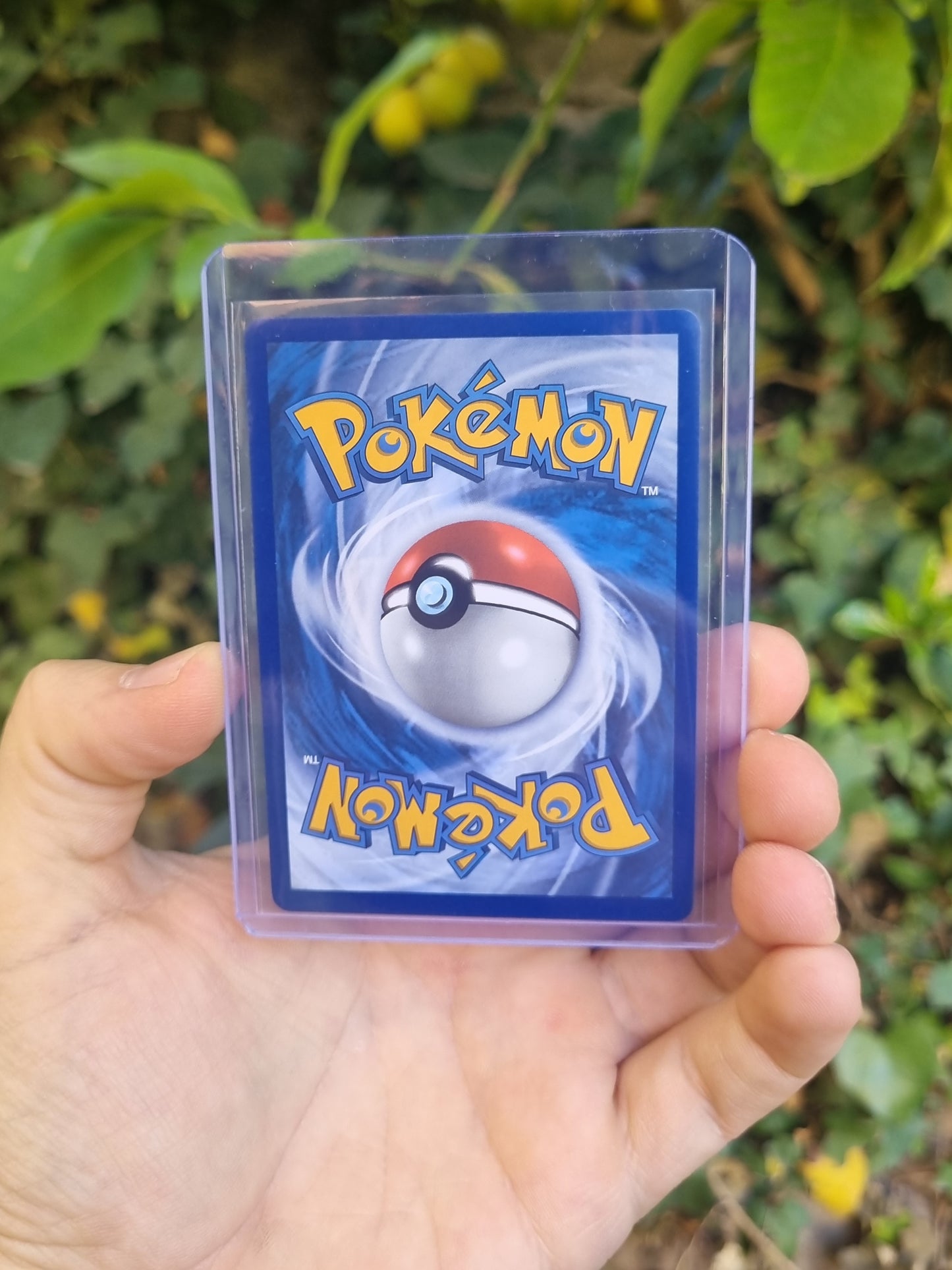 Charizard ex - 056 Scarlet & Violet Promo