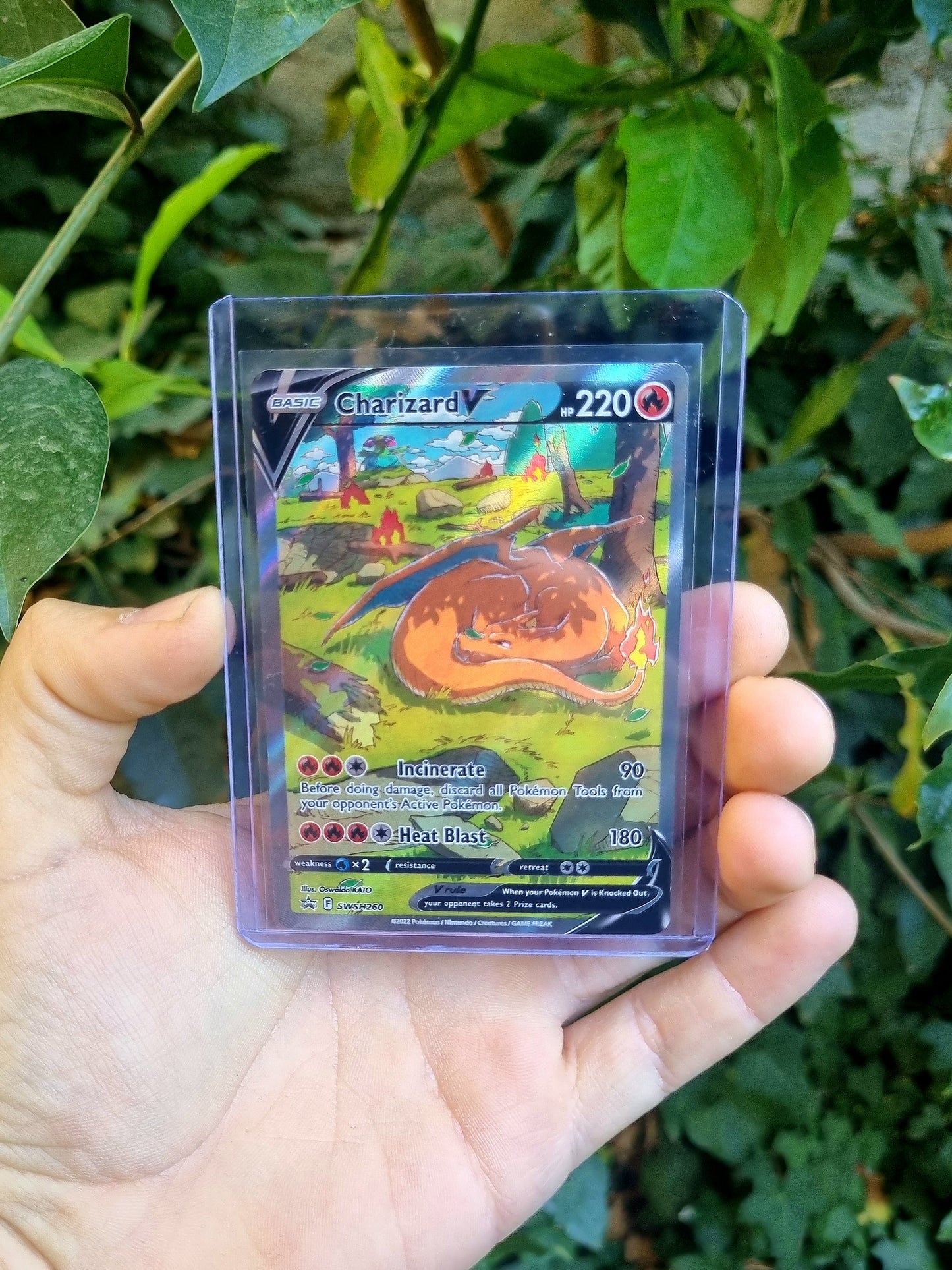 Charizard V - SWSH260 Sword & Shield Promo