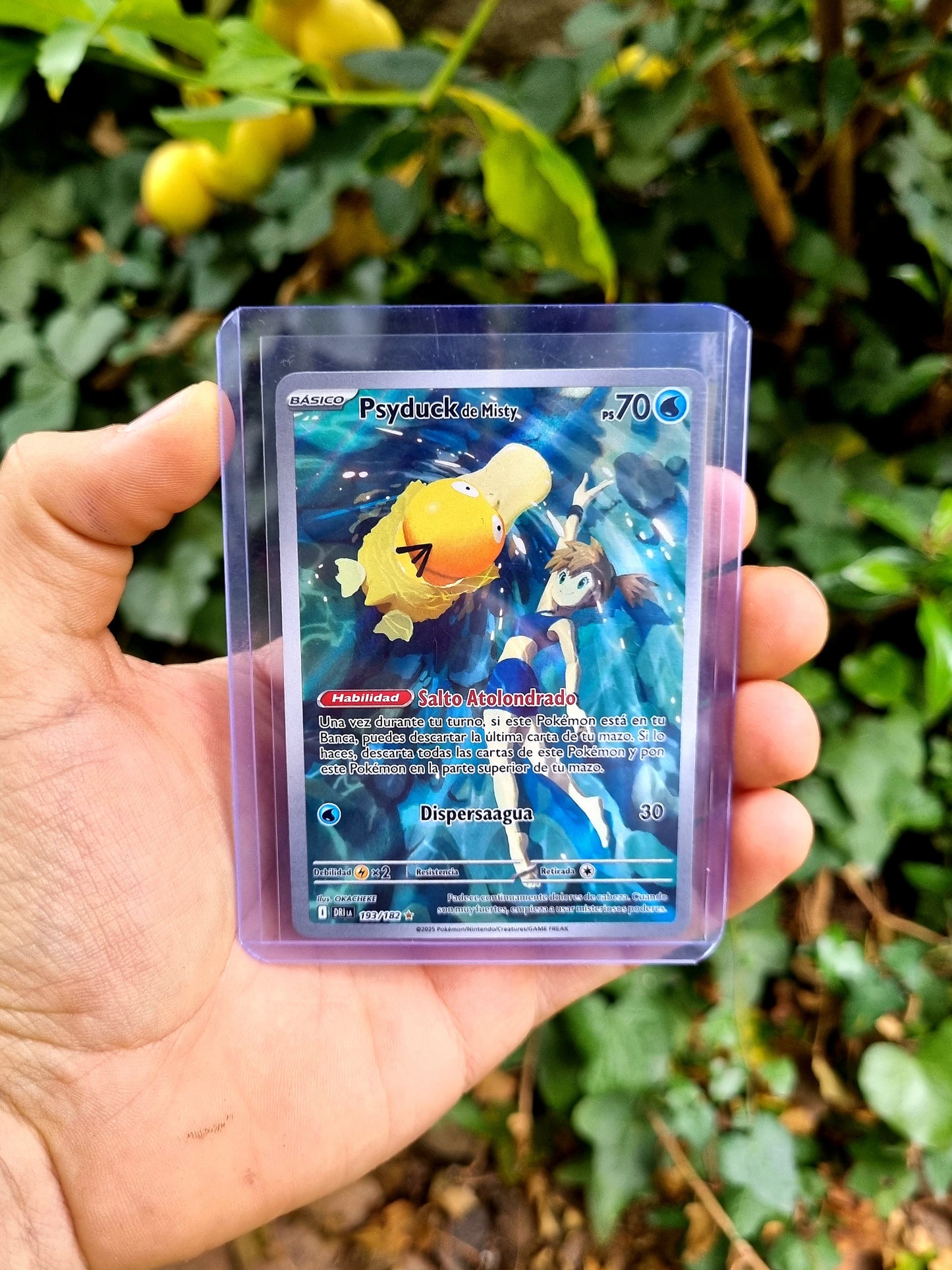 Misty's Psyduck - 193/182 Destined Rivals Illustration Rare Español