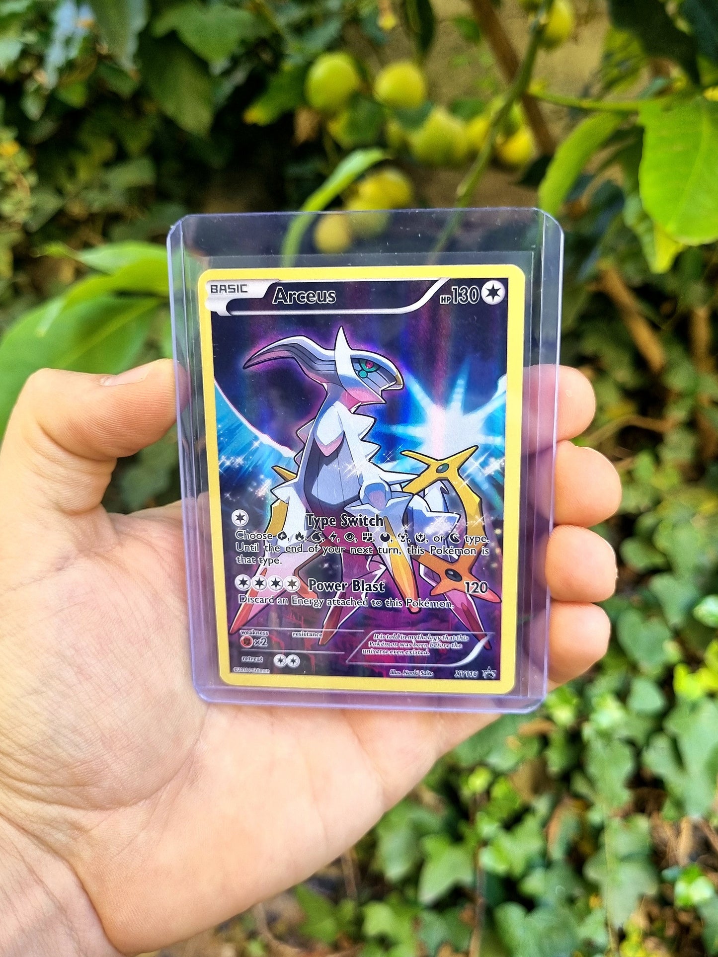 Arceus - XY116 - XY Promos