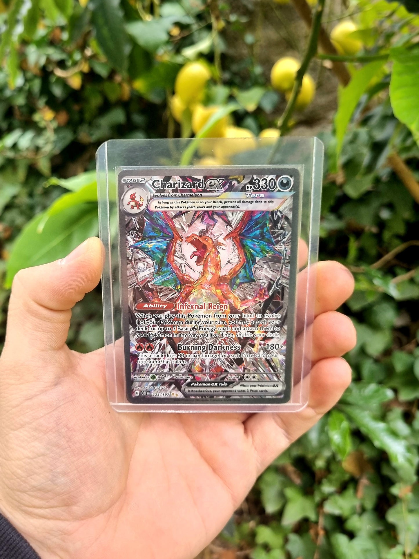 Charizard ex - 223/197 Obsidian Flames Special Illustration Rare