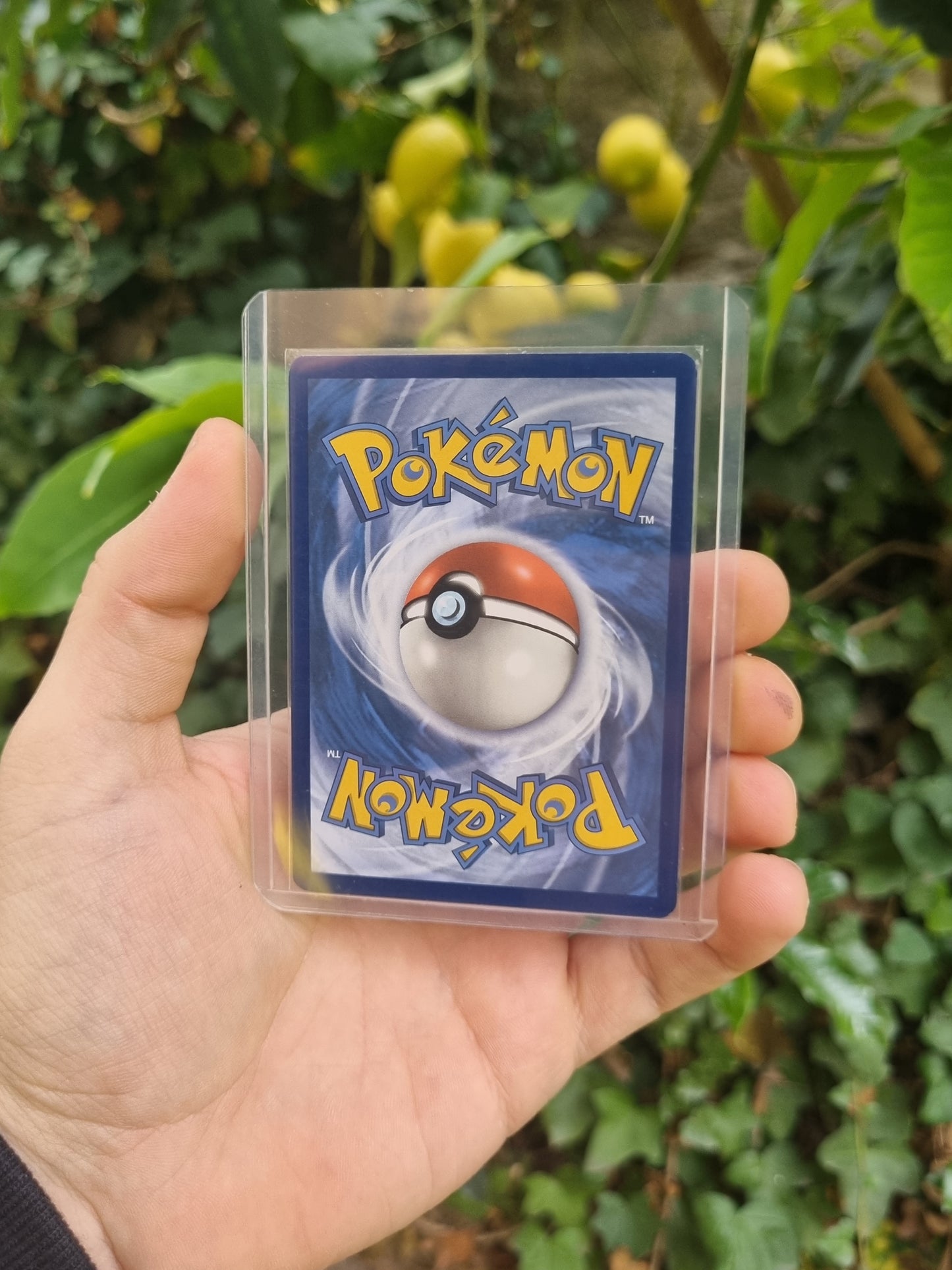 Charizard ex - 223/197 Obsidian Flames Special Illustration Rare