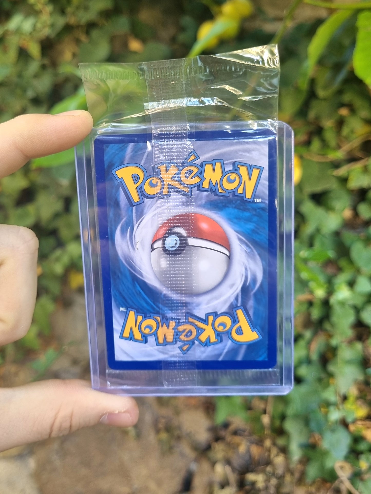 Charizard V - SWSH050 Sword & Shield Promo Español (Sellada)