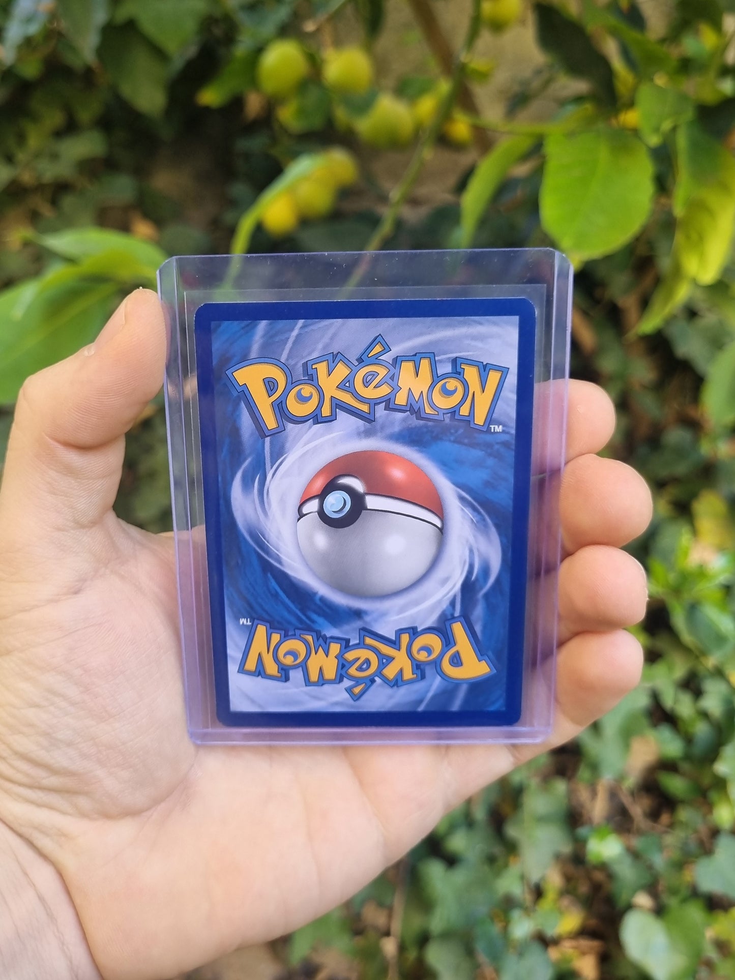 Charizard GX - SM60 - Sun & Moon Promo