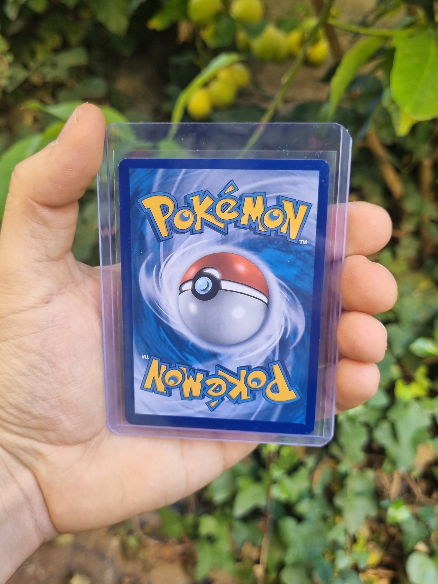 Arceus - XY116 - XY Promos
